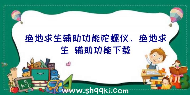 绝地求生辅助功能陀螺仪、绝地求生